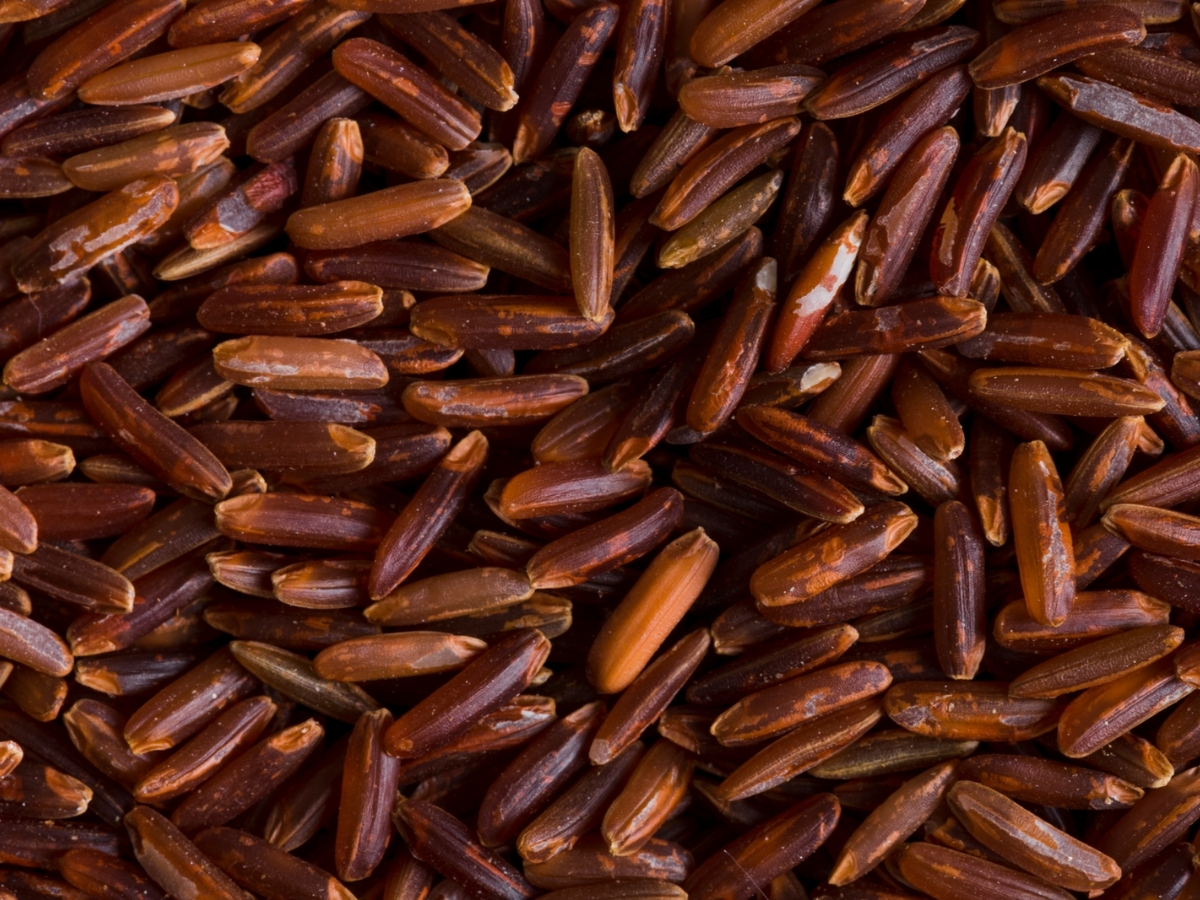 brown rice good for diabetes