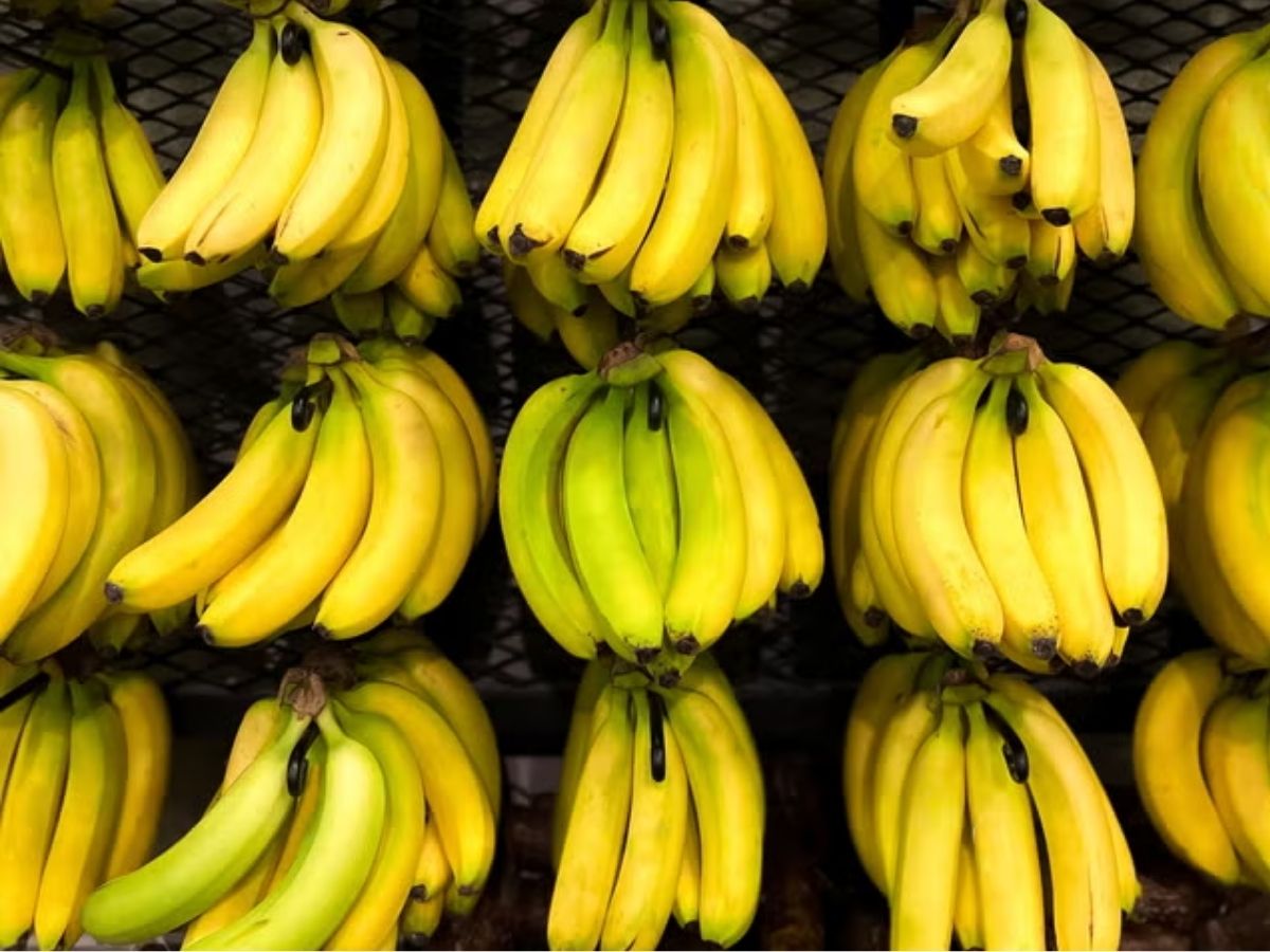 A small, slightly green banana affects blood sugar less than a large, ripe one