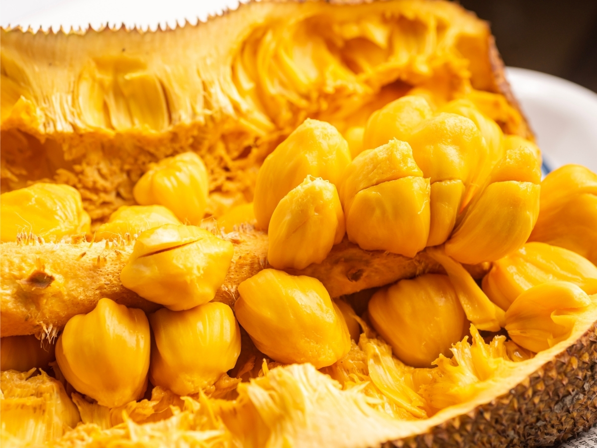 jackfruit - diabetes-friendly fruit