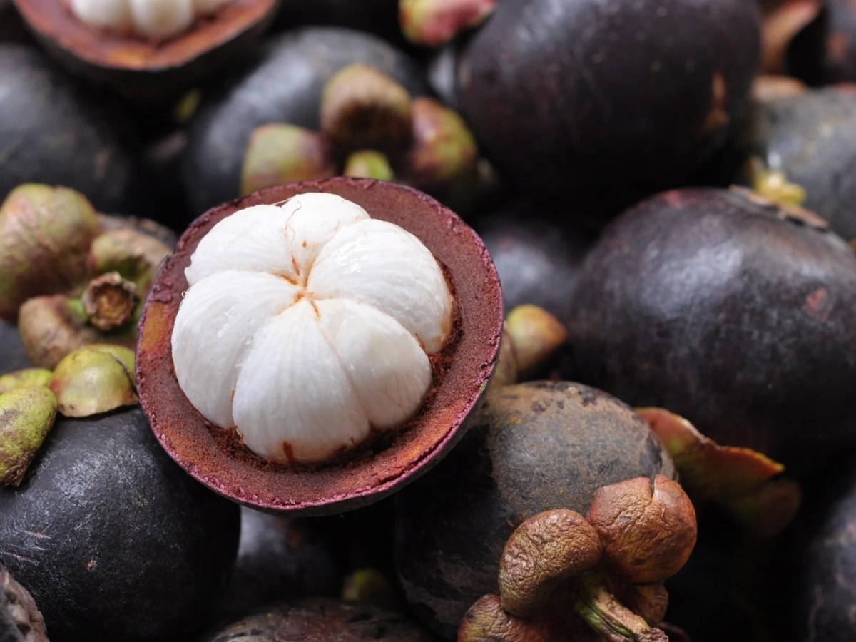 Is mangosteen good for diabetes?