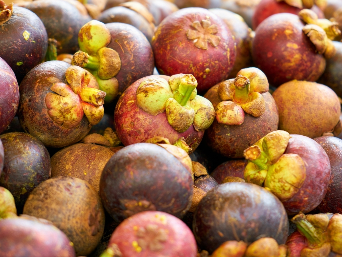 Mangosteen is queen of fruits